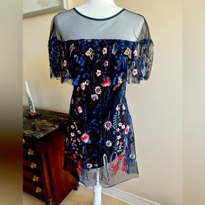 Mesh Embroidered Dress
